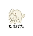 真っ白和風猫（個別スタンプ：23）