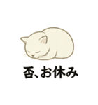 真っ白和風猫（個別スタンプ：24）