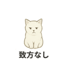 真っ白和風猫（個別スタンプ：26）