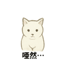 真っ白和風猫（個別スタンプ：27）