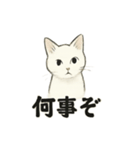 真っ白和風猫（個別スタンプ：29）