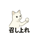 真っ白和風猫（個別スタンプ：30）