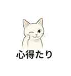 真っ白和風猫（個別スタンプ：31）