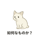真っ白和風猫（個別スタンプ：34）