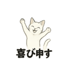 真っ白和風猫（個別スタンプ：35）