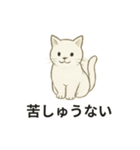 真っ白和風猫（個別スタンプ：36）
