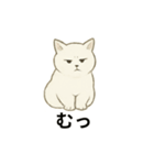 真っ白和風猫（個別スタンプ：37）