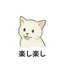 真っ白和風猫（個別スタンプ：39）