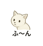 真っ白和風猫（個別スタンプ：40）