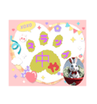ウサウサしりとりPart6（個別スタンプ：15）