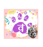 ウサウサしりとりPart6（個別スタンプ：38）