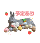 日常で使えるうーたのスタンプ（個別スタンプ：11）