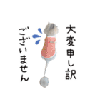 久保田4にゃんず（個別スタンプ：29）