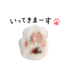 久保田4にゃんず（個別スタンプ：39）