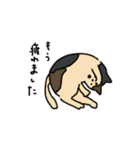 敬語であにまる（個別スタンプ：20）