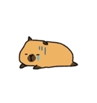 敬語であにまる（個別スタンプ：39）