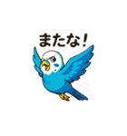 セキセイインコ 仕事とプライベートモード（個別スタンプ：6）