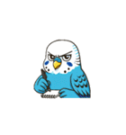 セキセイインコ 仕事とプライベートモード（個別スタンプ：21）