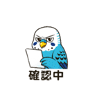 セキセイインコ 仕事とプライベートモード（個別スタンプ：22）