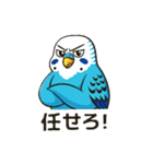 セキセイインコ 仕事とプライベートモード（個別スタンプ：23）