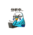 セキセイインコ 仕事とプライベートモード（個別スタンプ：27）