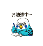 セキセイインコ 仕事とプライベートモード（個別スタンプ：32）