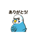 セキセイインコ 仕事とプライベートモード（個別スタンプ：38）