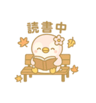ももぺん秋スタンプ紅葉と行事いっぱい40点（個別スタンプ：18）