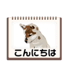 柴犬ハルver11（個別スタンプ：2）