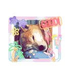 柴犬ハルver11（個別スタンプ：3）