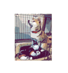 柴犬ハルver11（個別スタンプ：14）