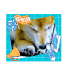柴犬ハルver11（個別スタンプ：27）