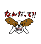 パピヨンのスタンプだよ4（個別スタンプ：1）