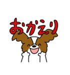 パピヨンのスタンプだよ4（個別スタンプ：3）