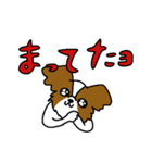 パピヨンのスタンプだよ4（個別スタンプ：4）