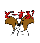 パピヨンのスタンプだよ4（個別スタンプ：10）