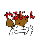 パピヨンのスタンプだよ4（個別スタンプ：12）