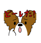 パピヨンのスタンプだよ4（個別スタンプ：19）