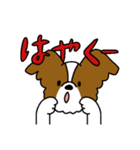 パピヨンのスタンプだよ4（個別スタンプ：20）