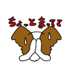 パピヨンのスタンプだよ4（個別スタンプ：22）