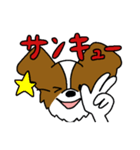 パピヨンのスタンプだよ4（個別スタンプ：31）