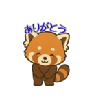 レッサーパンダ日常スタンプ第10弾（個別スタンプ：1）