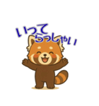 レッサーパンダ日常スタンプ第10弾（個別スタンプ：8）