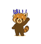 レッサーパンダ日常スタンプ第10弾（個別スタンプ：11）
