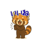 レッサーパンダ日常スタンプ第10弾（個別スタンプ：12）