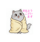 まるまるのねこちゃんち3（個別スタンプ：7）