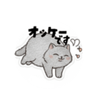 まるまるのねこちゃんち3（個別スタンプ：13）