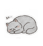 まるまるのねこちゃんち3（個別スタンプ：16）