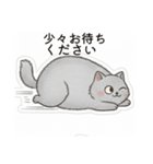 まるまるのねこちゃんち3（個別スタンプ：27）