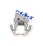 まるまるのねこちゃんち3（個別スタンプ：40）